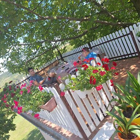 Guest House Jevtovic Sremski Karlovci Esterno foto