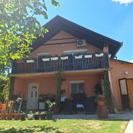 Guest House Jevtovic Sremski Karlovci Esterno foto