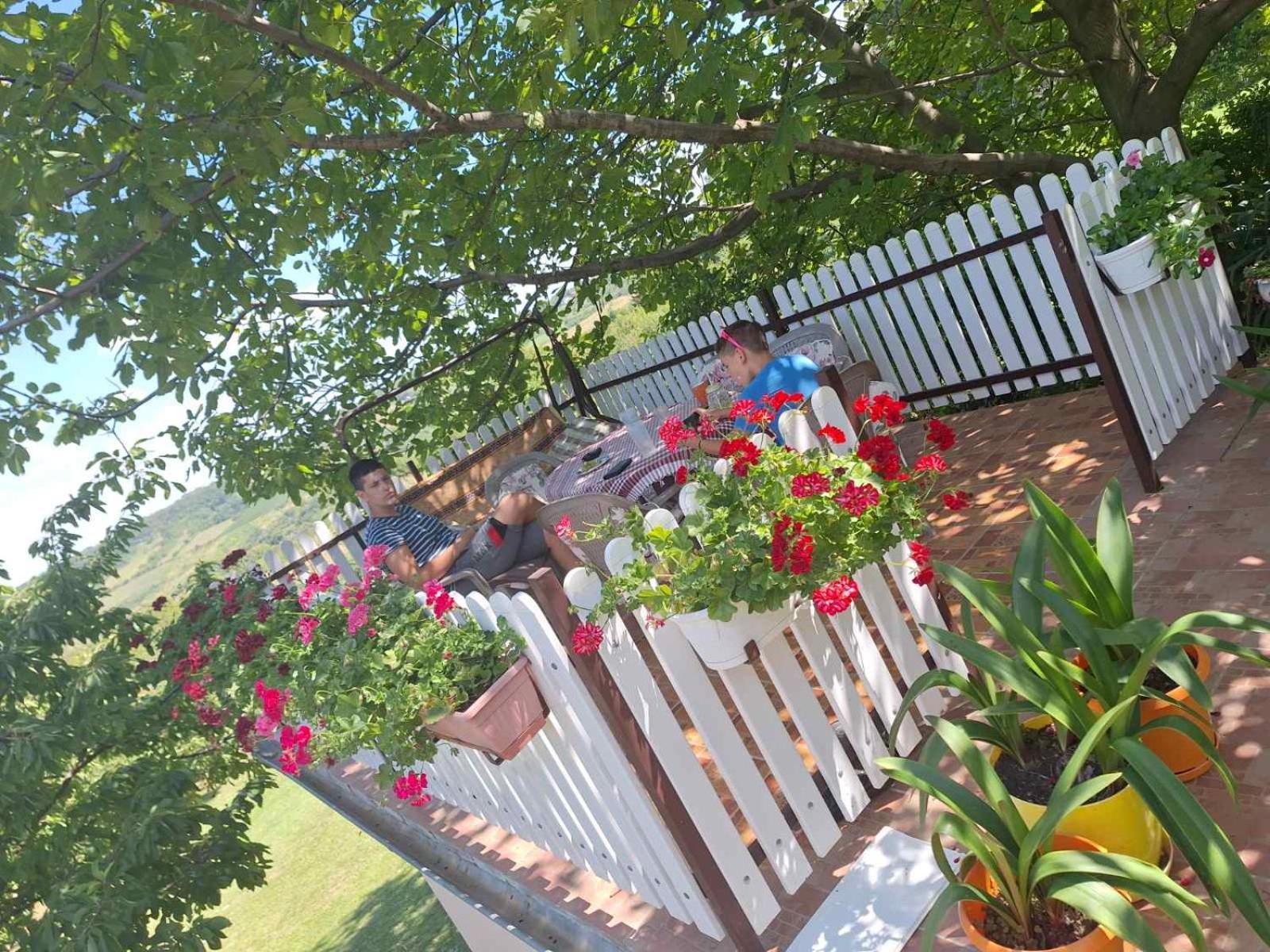 Guest House Jevtovic Sremski Karlovci Esterno foto