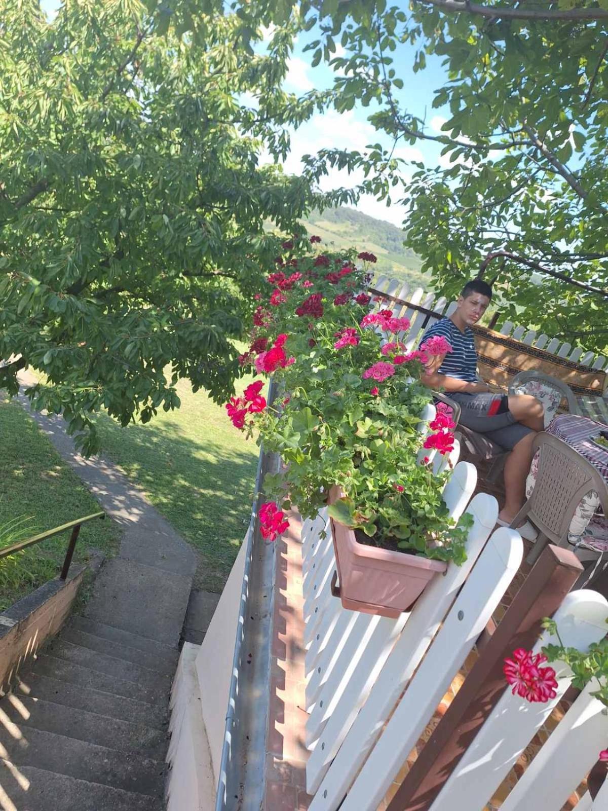 Guest House Jevtovic Sremski Karlovci Esterno foto