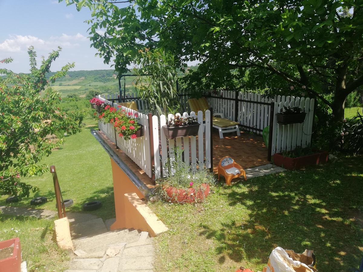 Guest House Jevtovic Sremski Karlovci Esterno foto