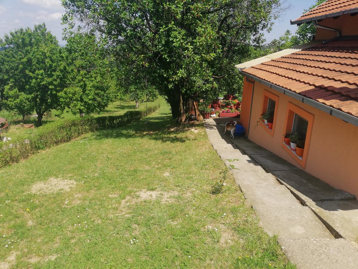 Guest House Jevtovic Sremski Karlovci Esterno foto