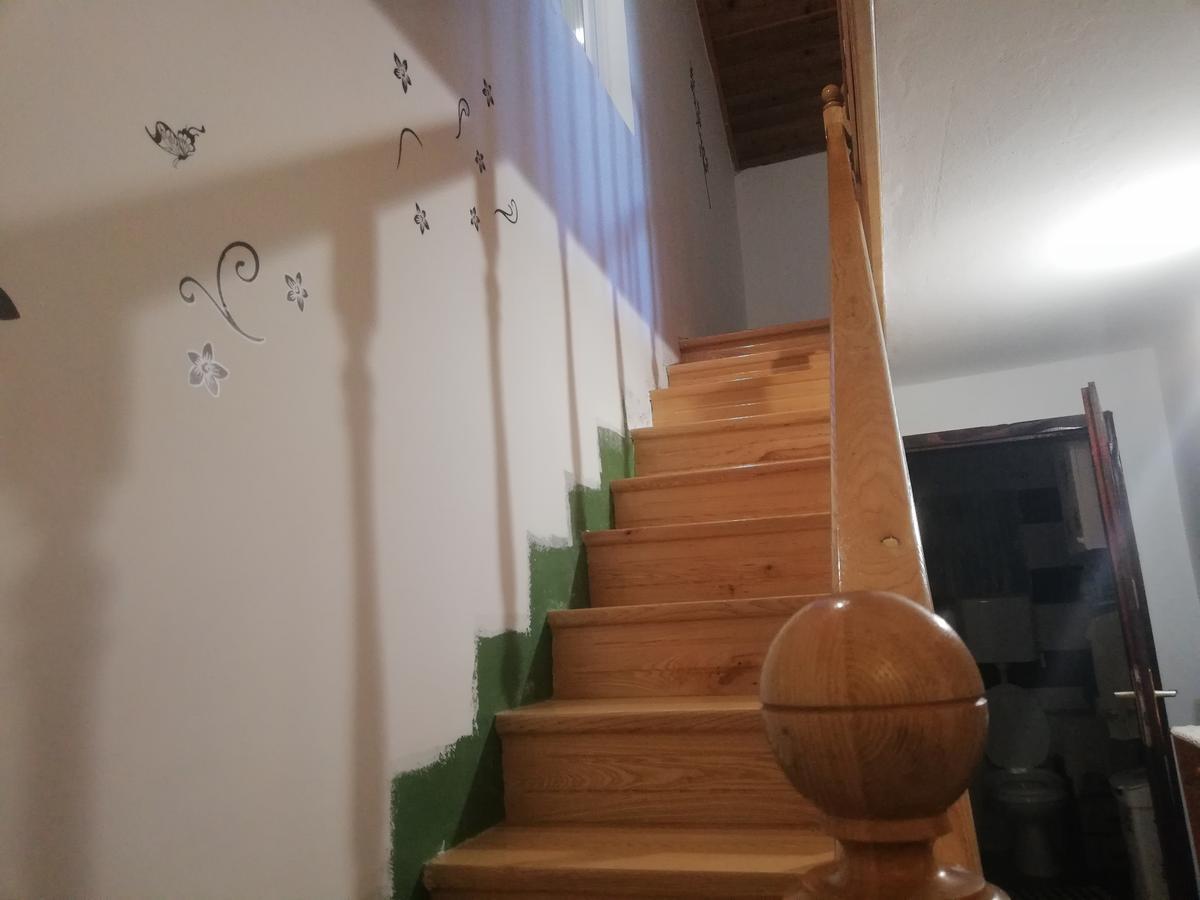 Guest House Jevtovic Sremski Karlovci Esterno foto