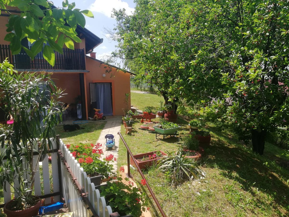 Guest House Jevtovic Sremski Karlovci Esterno foto