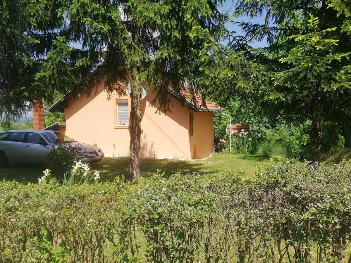 Guest House Jevtovic Sremski Karlovci Esterno foto