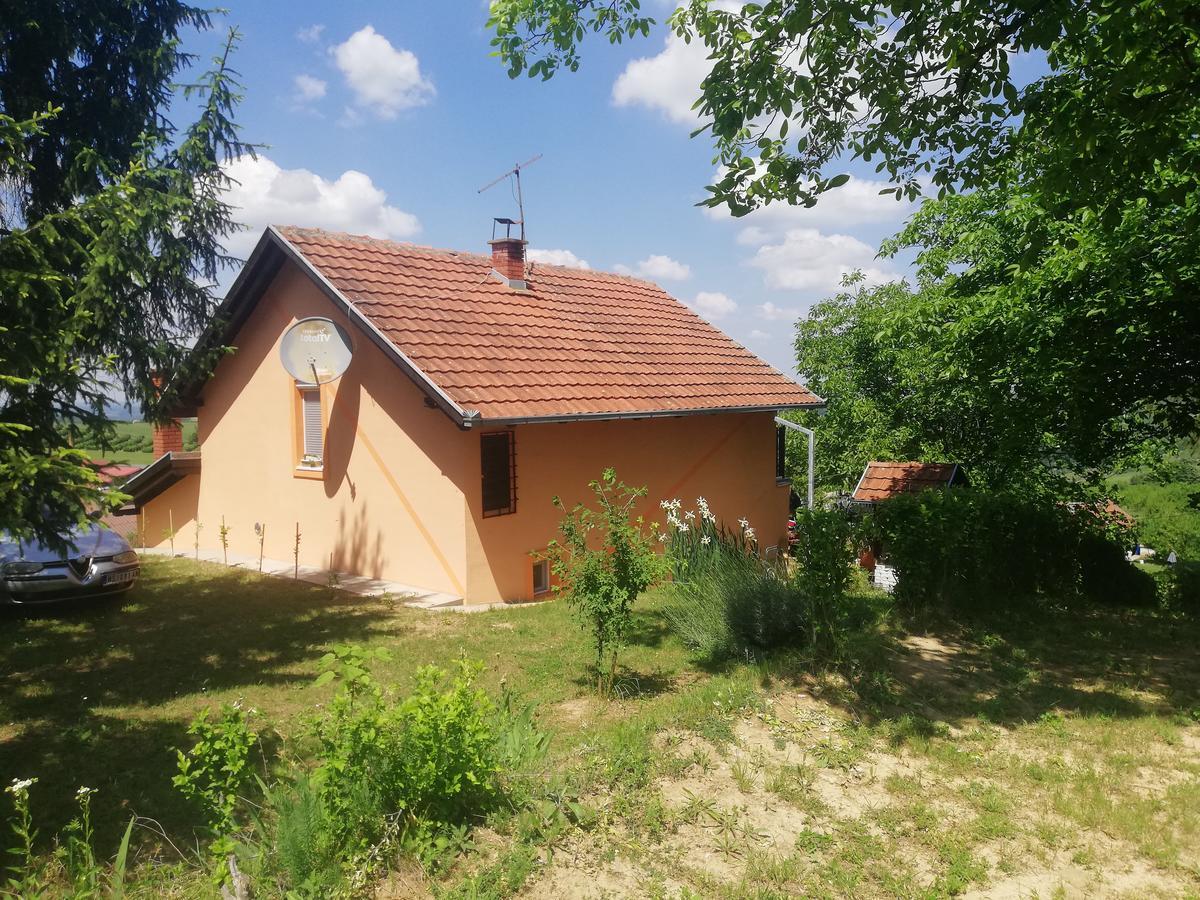 Guest House Jevtovic Sremski Karlovci Esterno foto