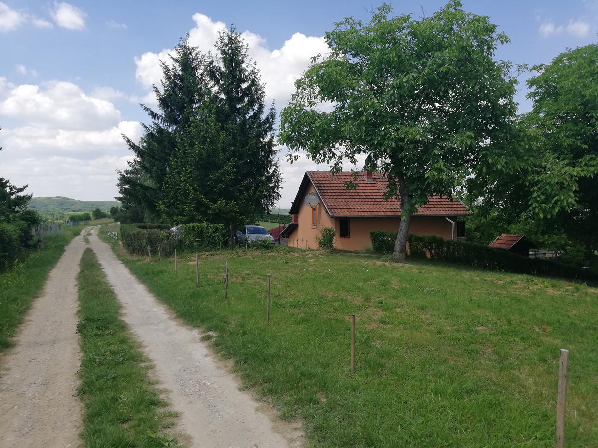 Guest House Jevtovic Sremski Karlovci Esterno foto