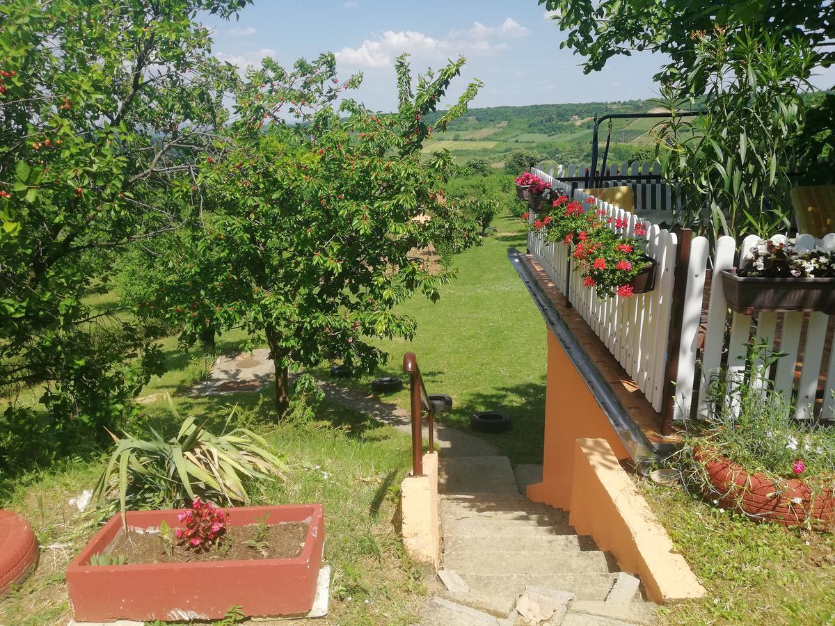 Guest House Jevtovic Sremski Karlovci Esterno foto