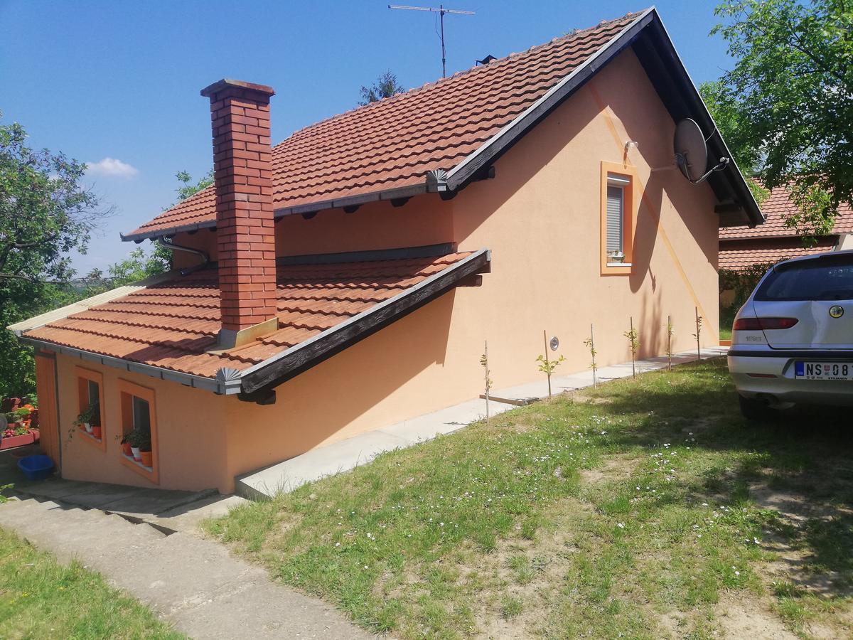 Guest House Jevtovic Sremski Karlovci Esterno foto