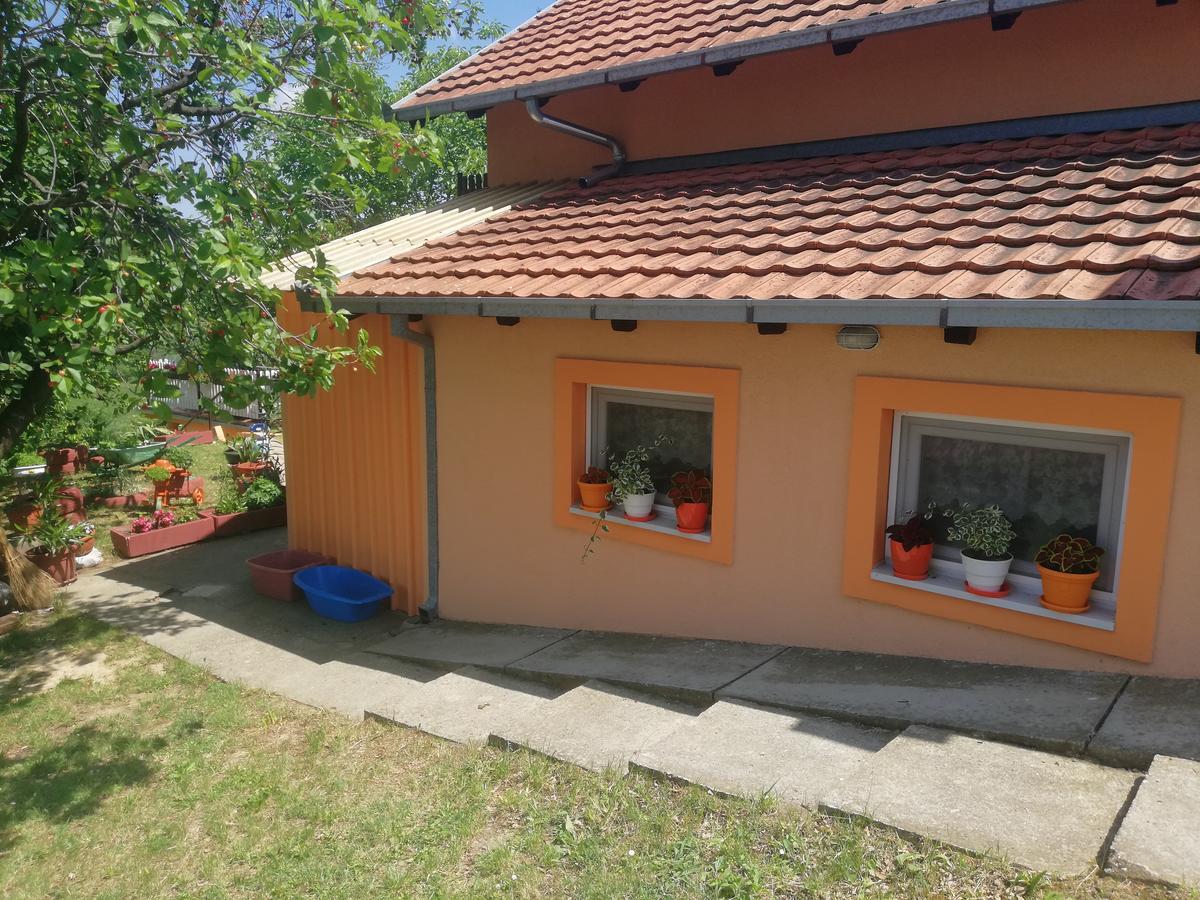 Guest House Jevtovic Sremski Karlovci Esterno foto